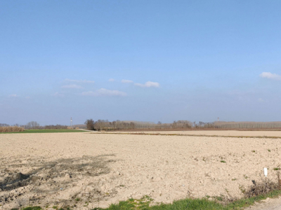 terreno agricolo in vendita a Castelnuovo Scrivia