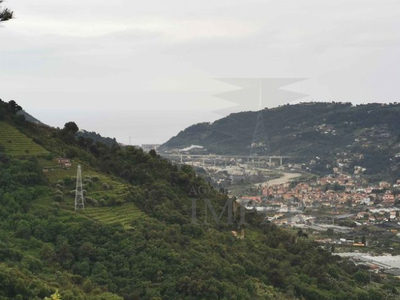 terreno agricolo in vendita a San Biagio della Cima