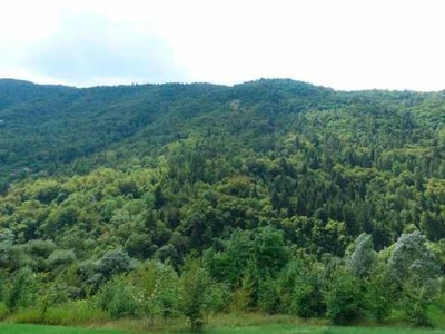 terreno residenziale in vendita a Seren del Grappa