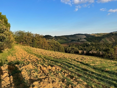 V Terreno agricolo Castel San Pietro Terme