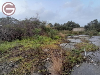 Vendita Terreno Agricolo in Gioia Tauro