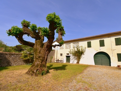 Casa indipendente con giardino a Godega di Sant'Urbano