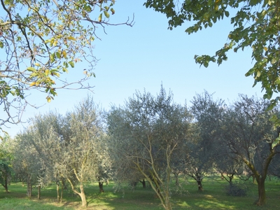 Terreno in vendita a Volpago del Montello