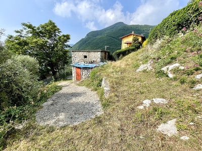 Casa con terreno