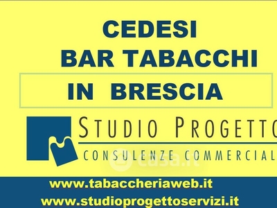 Negozio/Locale commerciale in Vendita in Strada Provinciale 11 Tangenziale Sud a Brescia