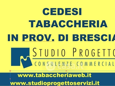 Negozio/Locale commerciale in Vendita in Strada Provinciale 11 Tangenziale Sud a Desenzano del Garda