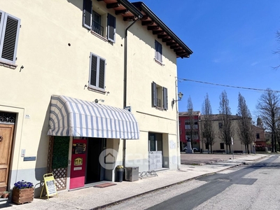 Negozio/Locale commerciale in Vendita in Strada Villa 79 a Roccabianca