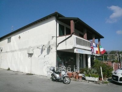 Negozio/Locale commerciale in Vendita in Via Monte Matanna 9 a Viareggio