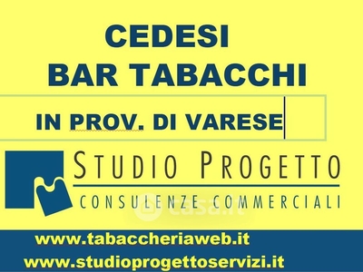 Negozio/Locale commerciale in Vendita in Viale Valganna a Varese