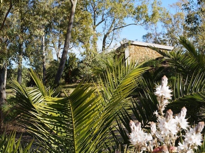 Orosei Casa di campagna immersa nella tranquillità di un boschetto di eucalipto