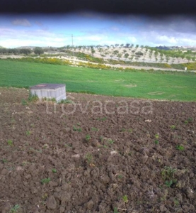 Terreno Agricolo in vendita a Barrafranca via Largo Canale, 4