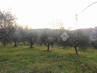 Terreno Agricolo in vendita a Benevento via Cretarossa snc