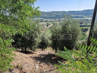 Terreno Agricolo in vendita a Benevento via Don Luigi Sturzo