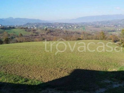 Terreno Agricolo in vendita a Caiazzo sp325, 13