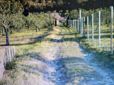 Terreno Agricolo in vendita a Calenzano