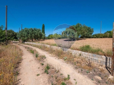 Terreno Agricolo in vendita a Caltagirone via Gianbattista tiepolo, 114