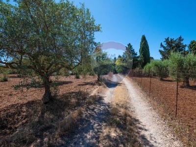 Terreno Agricolo in vendita a Caltagirone via Gianbattista tiepolo