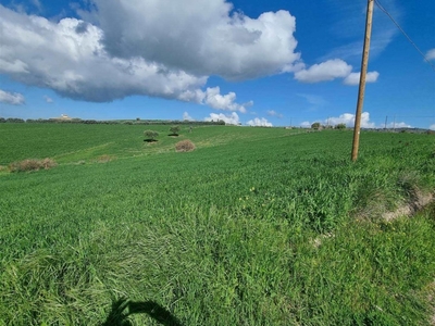 Terreno Agricolo in vendita a Caltanissetta