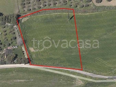 Terreno Agricolo in vendita a Caltanissetta via Guglielmo Borremans