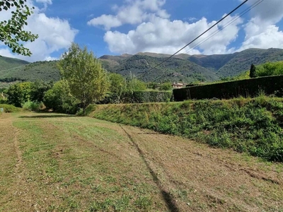 Terreno Agricolo in vendita a Camaiore