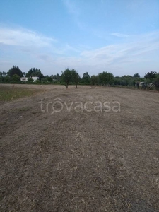 Terreno Agricolo in vendita a Casarano strada Comunale Melissano Casarano
