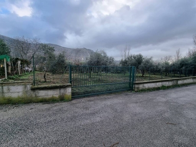 Terreno Agricolo in vendita a Caserta via Sauda Vicinale Vairano