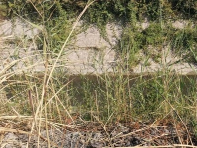 Terreno Agricolo in vendita a Cassano all'Ionio contrada Fornara