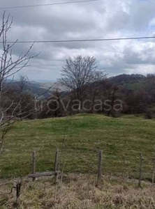 Terreno Agricolo in vendita a Casteldelci località Fragheto