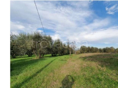 Terreno Agricolo in vendita a Castelfiorentino via Orazio Bacci