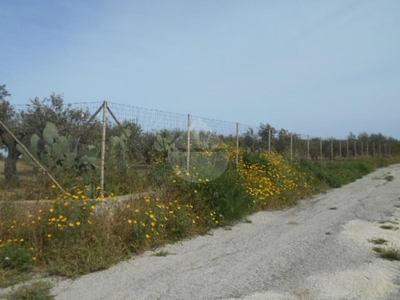 Terreno Agricolo in vendita a Castelvetrano contrada Fartaso,