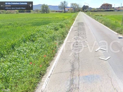 Terreno Agricolo in vendita a Castiglione del Lago via Cristoforo Colombo