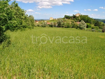 Terreno Agricolo in vendita a Castrocaro Terme e Terra del Sole