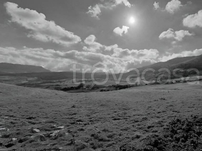 Terreno Agricolo in vendita a Castronovo di Sicilia contrada Portella Dell'Olmo