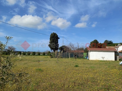 Terreno Agricolo in vendita a Cecina