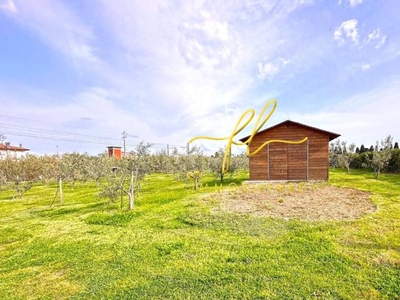 Terreno Agricolo in vendita a Cecina