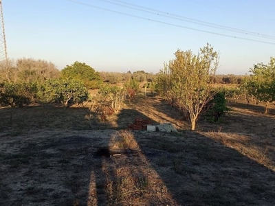 Terreno Agricolo in vendita a Cellino San Marco contrada Falco lezzi