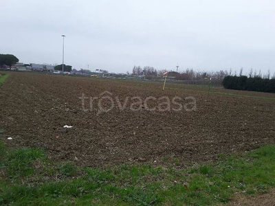 Terreno Agricolo in vendita a Cesena localita' Pievesestina - Via Salvo d'Acquisto