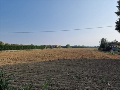 Terreno Agricolo in vendita a Cesena via Balirona