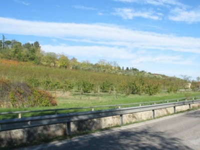 Terreno Agricolo in vendita a Cesena via Calisese