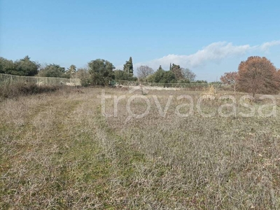 Terreno Agricolo in vendita a Cisternino contrada Figazzano