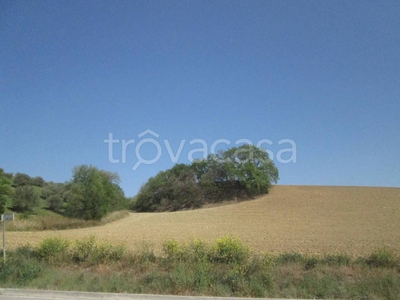 Terreno Agricolo in vendita a Città Sant'Angelo strada Comunale di Villa Cipressi