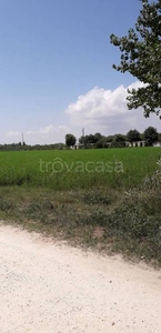 Terreno Agricolo in vendita a Comacchio via Scolo Spadina, 10