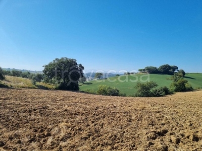 Terreno Agricolo in vendita a Corridonia contrada Piedicolle
