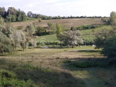Terreno Agricolo in vendita a Crespina Lorenzana