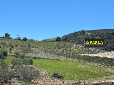 Terreno Agricolo in vendita a Delia canicattì-delia