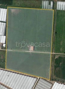 Terreno Agricolo in vendita a Eboli via Campolongo