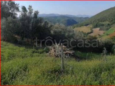 Terreno Agricolo in vendita a Ferentillo località Case Sparse Macchianlunga