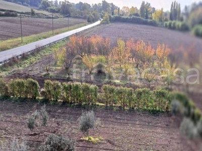 Terreno Agricolo in vendita a Fiumicino via del Fontanile di Mezzaluna, 224