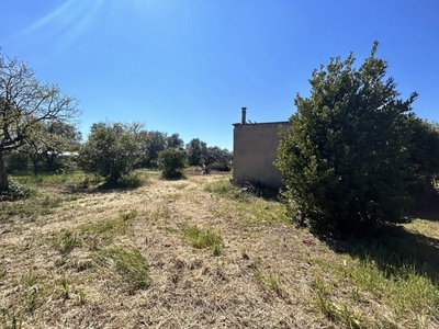 Terreno Agricolo in vendita a Fondi fondi Covino,143