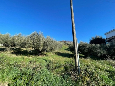 Terreno Agricolo in vendita a Fonte Nuova fonte Nuova fonte nuova,00